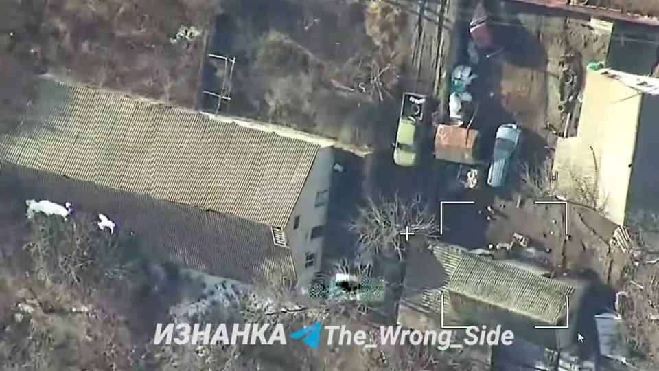 ��������� ���� Z-16 ���������� �� ����������� ���������� � ������ ���������� ���������� ������ ���� ������� �������� ����� ���������� ��������� �������