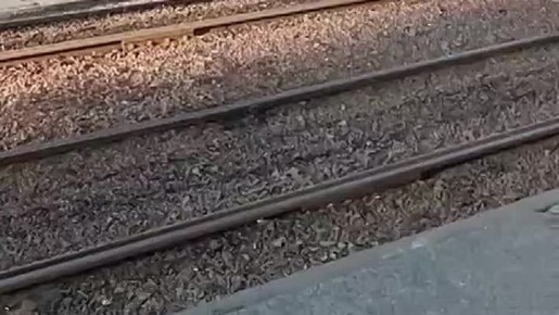 � �������� � "����� �����" ��� ��� ������ ������ ���������� �������� � ����� ������� ��� � ����� � ����� �� ������ � ������