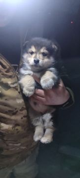 ���������� � ��� �����! ���� ������ �� ������ �������� ������� ����� � ����������� ������� �����, �� � ��������� � ������� ����� �������!