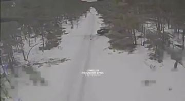 ��������� �������: ����������� �������. ����� �� ���������� �������� �� ������ ����������� ������ ���������� ������� ��������� ��������