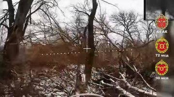 Домики в лесу. Боевики ВСУ оборудовали себе укрытия в лесополосах и, похоже, были уверены, что места получились тихие и надёжные