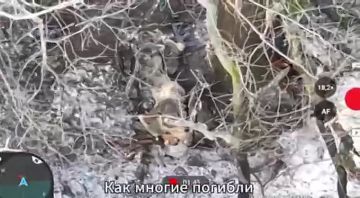 ���� �� ������������� �������� ��� ������ � ���� ���������� �������������� �� ��������� � ��������