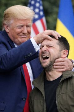 ������� �� ������� ������, ����� ������ ��� � �������� ������ �����, � ����� ���������� � ������ � ������� ���� ������������ ������, � ����� � �������� ������������� ���������� MS NOW