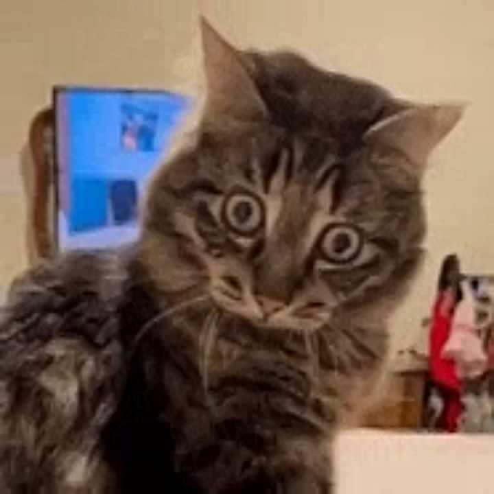 �� � ��� �� �������� ��� "�-����", �� "�-�����", � ����� ��� � � ��� ������ ��������