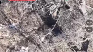 Андрей Руденко: Специалисты войск беспилотных систем 11-го армейского корпуса группировки войск «Север» уничтожили пункты хранения боекомплекта, материальных средств и провианта ВСУ в Харьковской области