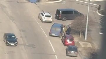 ���������� � ��������: ����� �������� �� ����� ������ ���