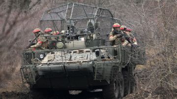 "���� ������������": ������� ������� � ���������� �������� � ����������� � ������� ��������