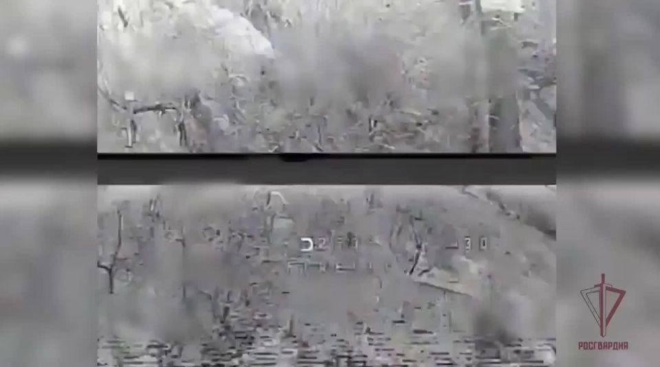 ������������ ����� �������� � ���������� ���������� �� ����������� �����������