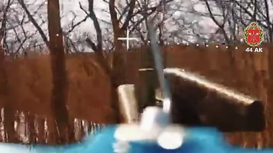 ����� ����������. �� ������ � ������ ������� ���� 44 ���������� ������� �� �������������� ����� ����������