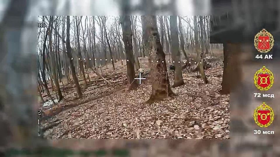 ����������.... �� ������ � ������ ������� ���� 30 ��� 72 ��� 44 ���������� ������� �� ����� ���� ����������. ���� �������� ��� ������ �������� �� ����������, ������ �� ����� ������� �������. ���������� �� �������� ��...