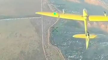 ��������� FPV-������ ����� ������ ���� ��� � ����������� �������