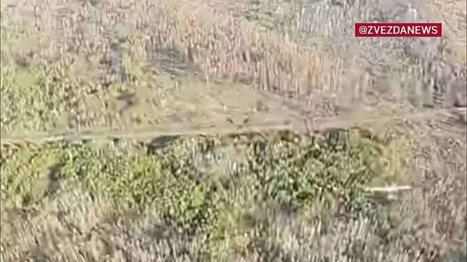 Сразу восемь разведывательных дронов уничтожили в воздухе наши "птички"