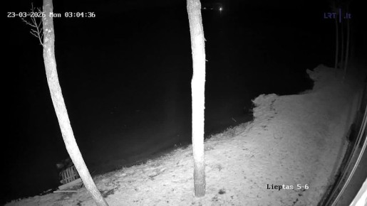 ����� ���� ����� ������ �� �����