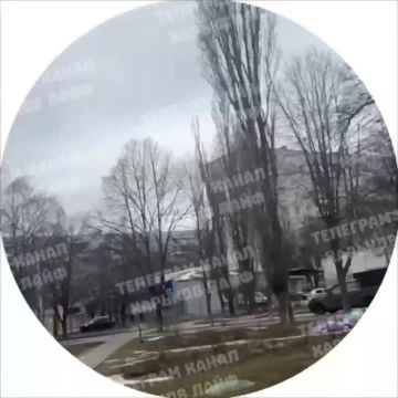 ���� ������� ������� � ������������ ��������������