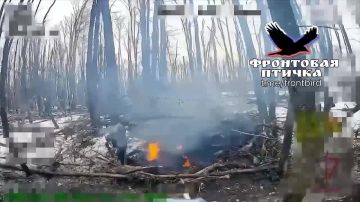 ������ ��������� ���������