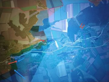 ���� �������: ����������� �����������. ���������� �������