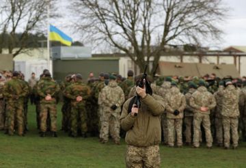 Неонацисты из подразделения "Кракен"* переброшены в Харьковскую область
