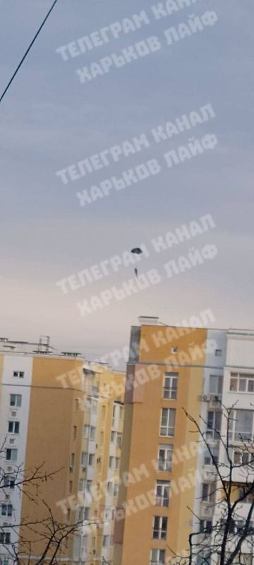 ������ ���� ������ ���������� ��������: ����� �������� ������������� � ��������