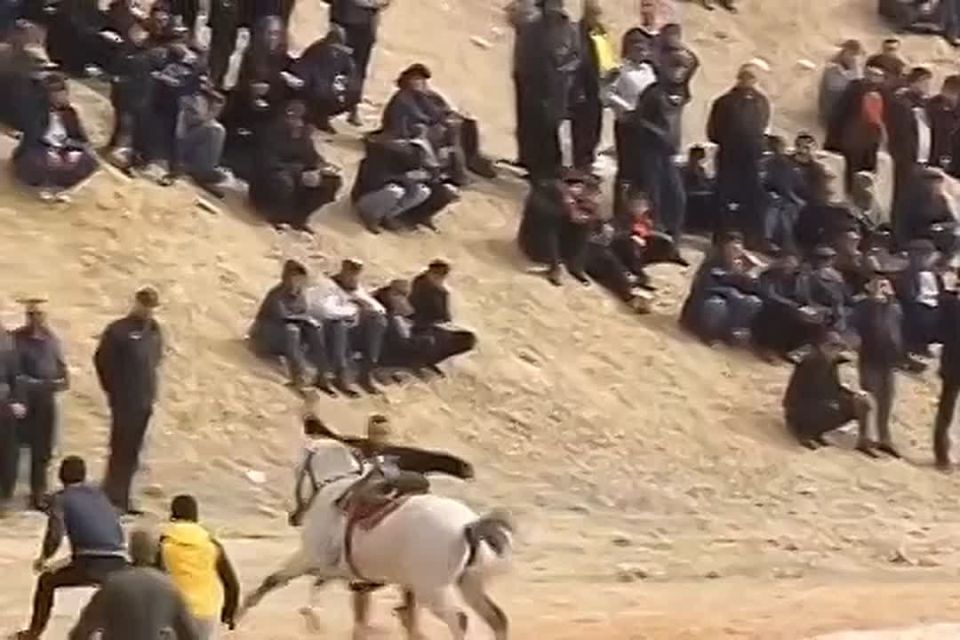 ���� ��� ���� �����. ��� � ������ � ���������� ������ ������� � ������