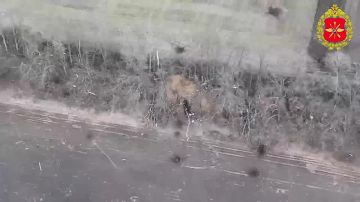 00:00 Расчеты БПЛА группировки «Восток» поразили пункты управления и антенны связи беспилотников ВСУ в Запорожской области