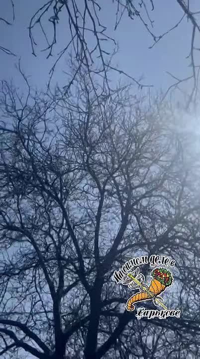 � �������� ������ ���� � �������������� ������