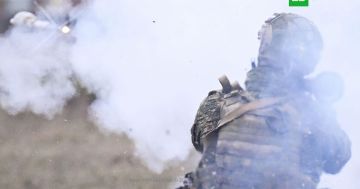 Армия России освободила Новоосиново и Луговское