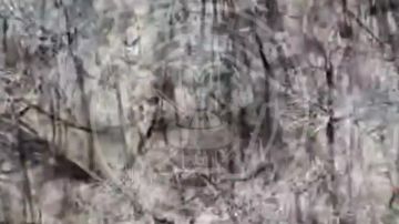 ��������� ������ ����������� ����� ������ ����� ���� ���� � ����������� �������