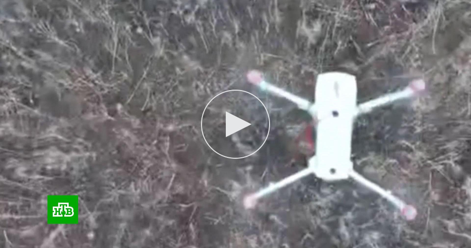 Российские FPV-истребители в воздухе уничтожили дроны-разведчики и коптеры ВСУ