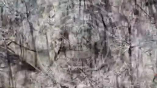 Операторы дронов группировки войск «Запад» сбили семь БпЛА в Харьковской области