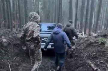 ����� ���� ��������. ��� ���������� ������ ��������