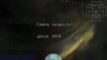 ������ ��������� ���������� ���������� � ���������� ������� � ��������������, �� �� ������� �������� ��������� 44�� � ����������� ���� �� � �������