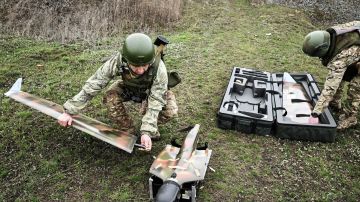 ������� ������ �� 30 ����� �� ������ "������� ����������"