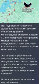 НАТО курирует удары по Ленинградской области и Калининграду