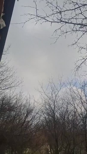 ����������� ���� � �������� ��������� ��������� ��������: ������� ���������� ��������