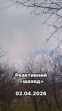 � ������ ����� ������. ������� ����������� �������� ���� ������������� �������� ������ � ���������� ����������