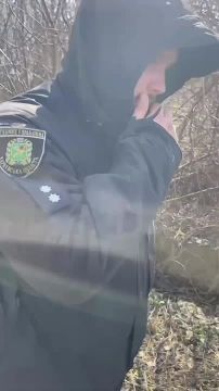 "�� �� �������, � ������ �������������!": � �������� ��� ����� ����� �������������������� ����������, �� ������ ���� ���� �����