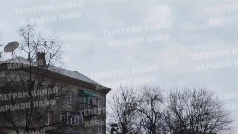 � ������� ���� � ����� ������ �������� � ����������������, �����������(����� �� ����� "� ������ ������"), �������, ����������, ������������ ��������