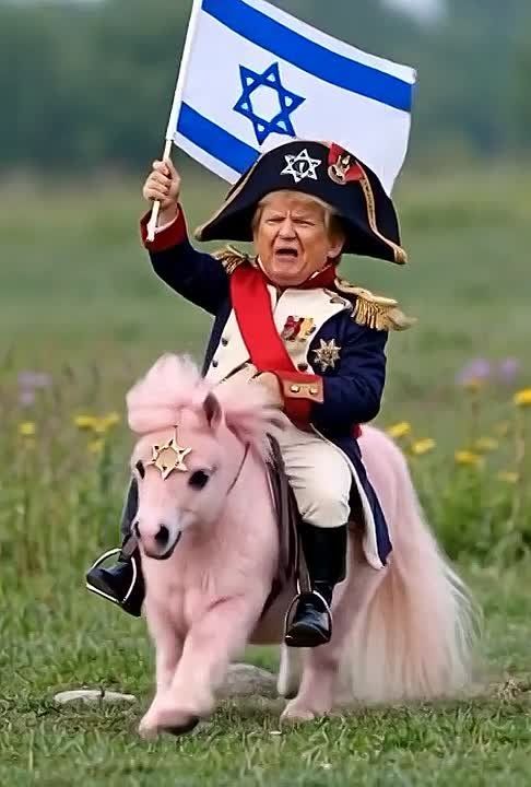 ���� ������ ����� ������� �������� ����������� � ��������� ������� � Al Jazeera