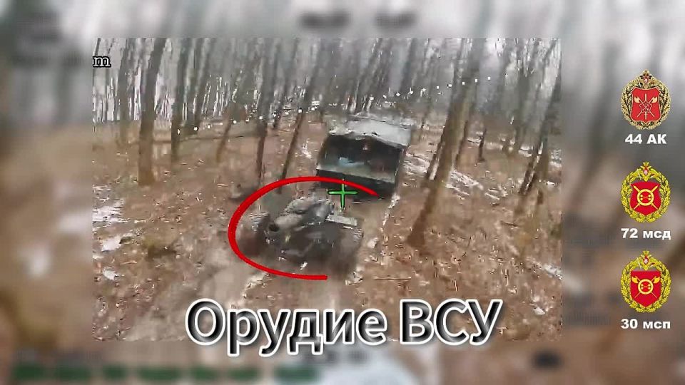 ������� ����������. � ������� ������� ������ ���� 30 ��� 72 ��� 44 ���������� ������� ������� ������ ���, ������� ��������� ������� ������������� �� ����� �������