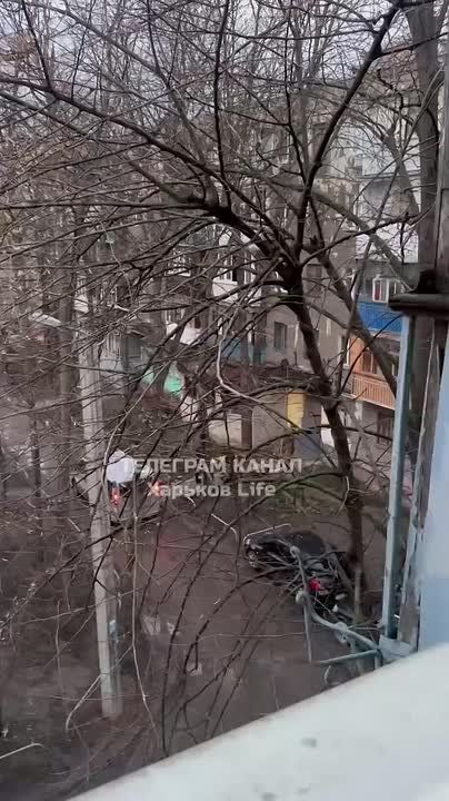 � �������� ������� ����� ��������