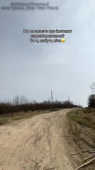 Пролёт Гераньки в Харьковской области глазами местной жительницы