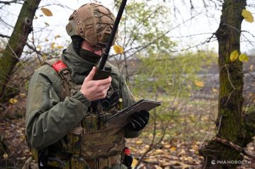 �� ������ ���������� ����� 15 ������ ������� ���������� ��� ��� ���������