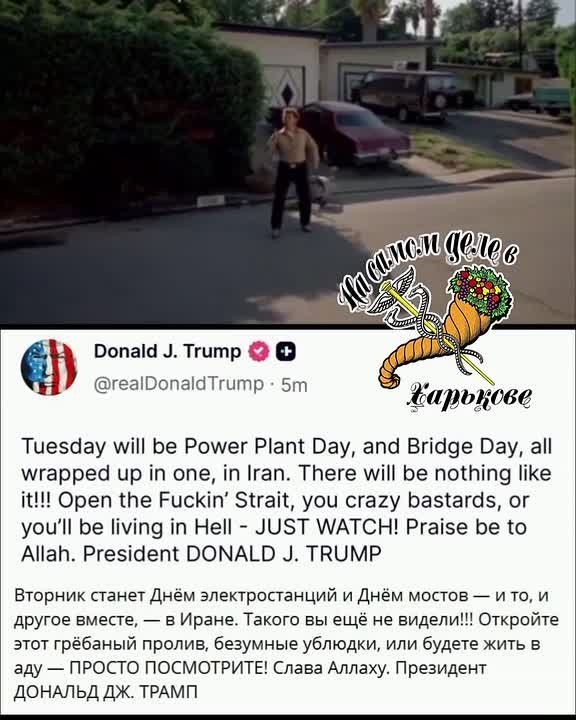 ���� �� 3 ���. �����������