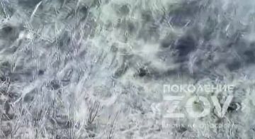 ���� ������ �������� ������� ��� � ��������� ��� ��������� � ����� � ���� ������ ���������� ������