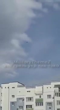 Герань летит по своим делам в Харькове