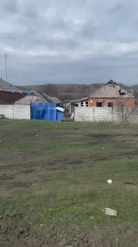 Кадры со стороны хохлов в районе н.п. Новониколаевка на Купянском направлении