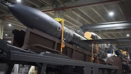 "Примитивная ракета, сделанная на коленке" — эксперт о защите от "Фламинго" и советской школе ПВО