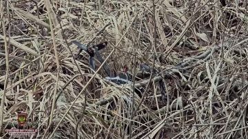 ��������� ���� ��� � ����������� ����������������� ��� ������� �� "������"