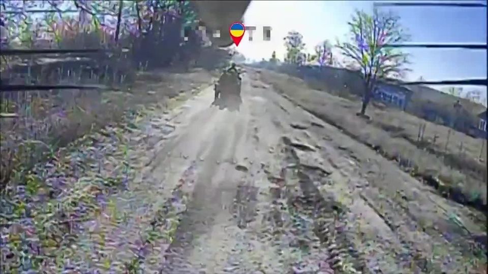 ��������� �����������. ����������� ����������� ���������� � ������ ��������