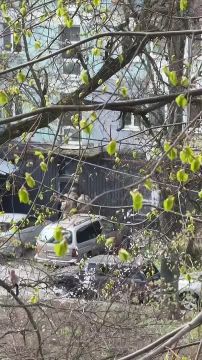 ��� ������� ���������.. �������� 17, ��� ������� ������� ����� � ���